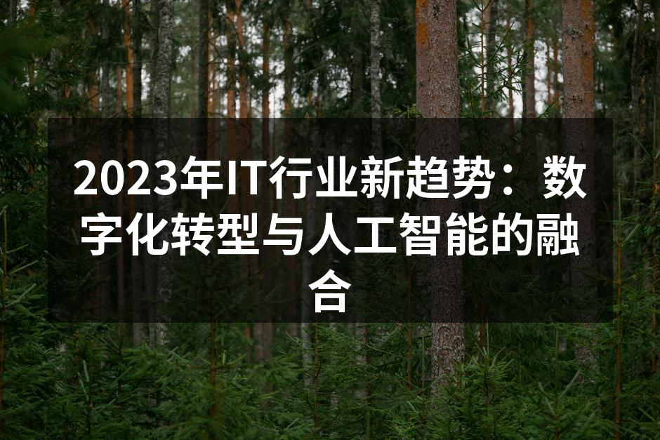 2023年IT行业新趋势：数字化转型与人